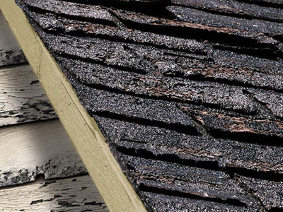 Affordable Roofing & Solar Images